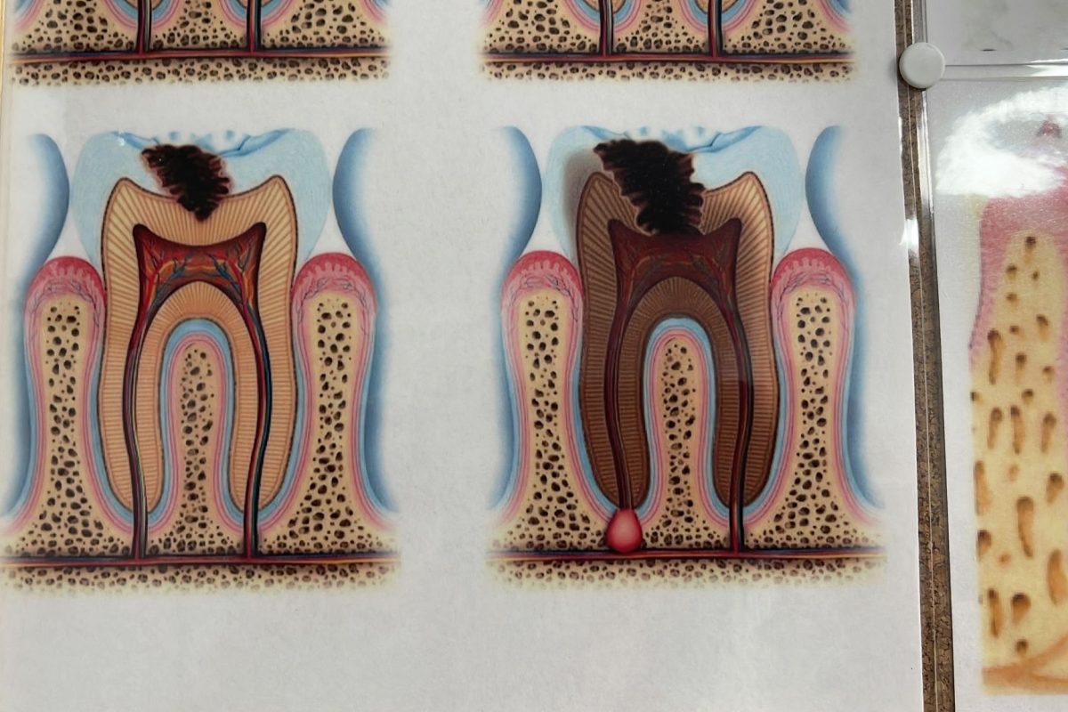 Endodontie